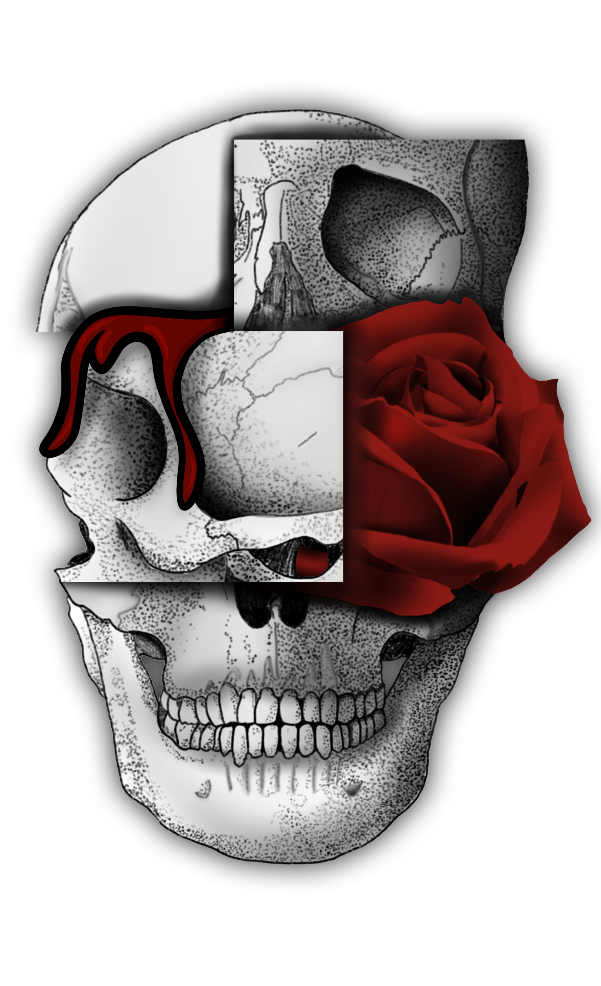 Aesthetic Skull PNG Photos
