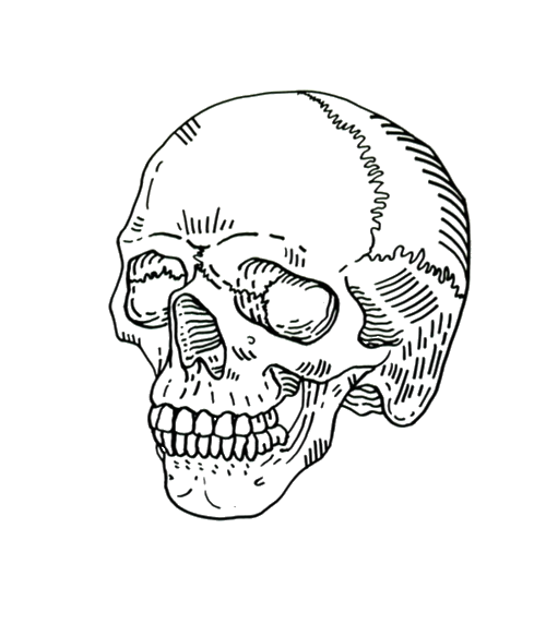 Aesthetic Skull Transparent File
