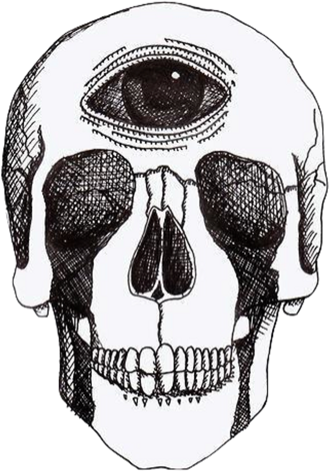 Aesthetic Skull Transparent Images