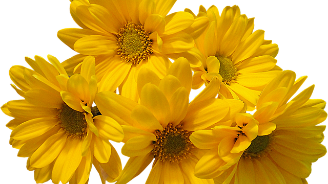 Aesthetic Yellow Transparent Image