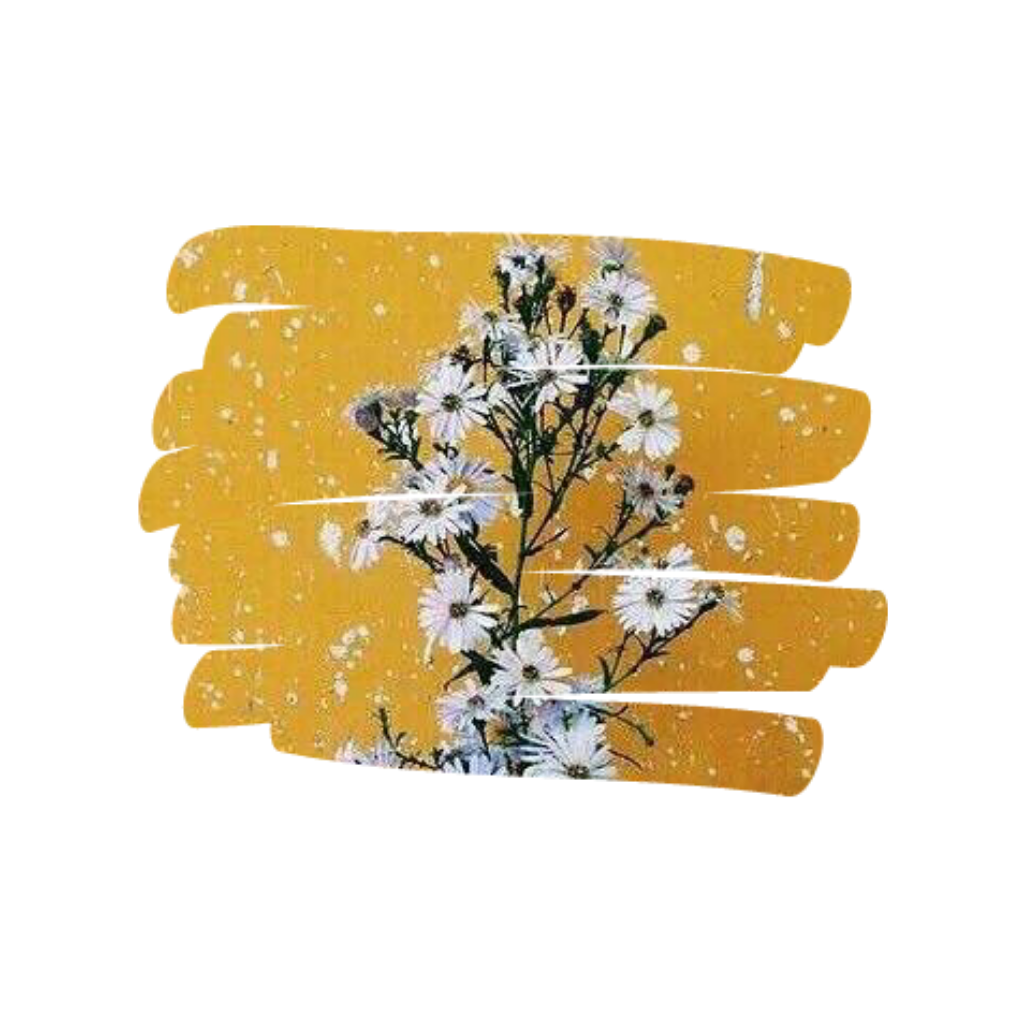 Aesthetic Yellow Transparent PNG