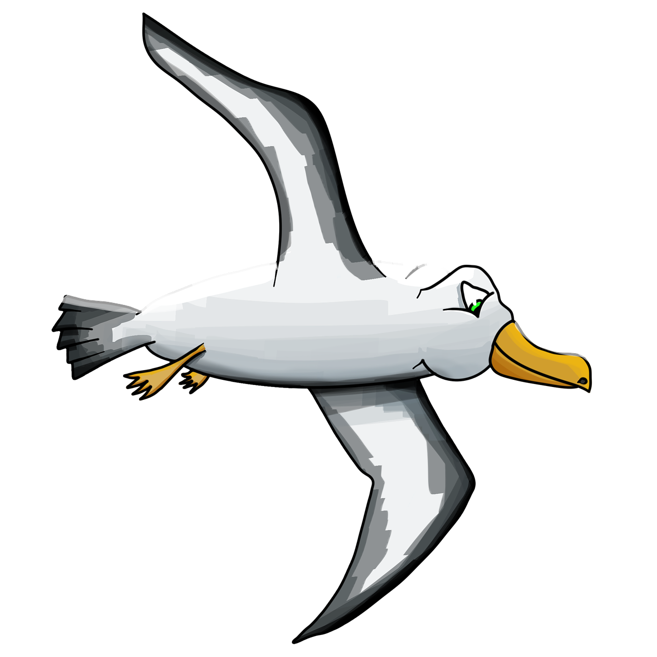 Albatrosses Free File Download PNG