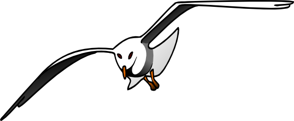Albatrosses Transparent Background PNG