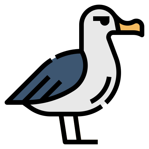 Albatrosses Transparent Free PNG