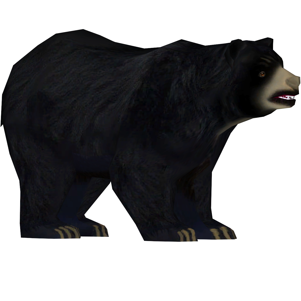 American Black Bear PNG Free File Download
