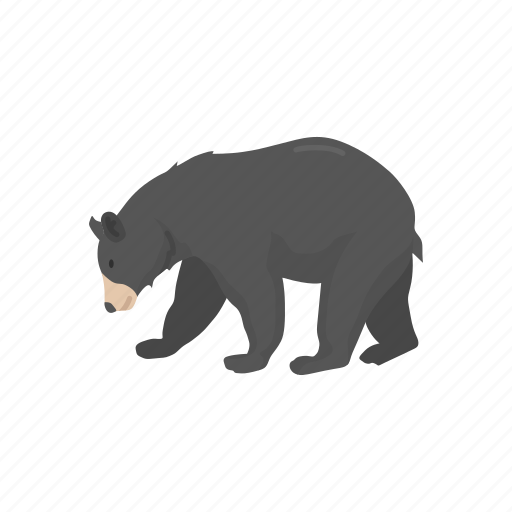 American Black Bear Transparent Free PNG