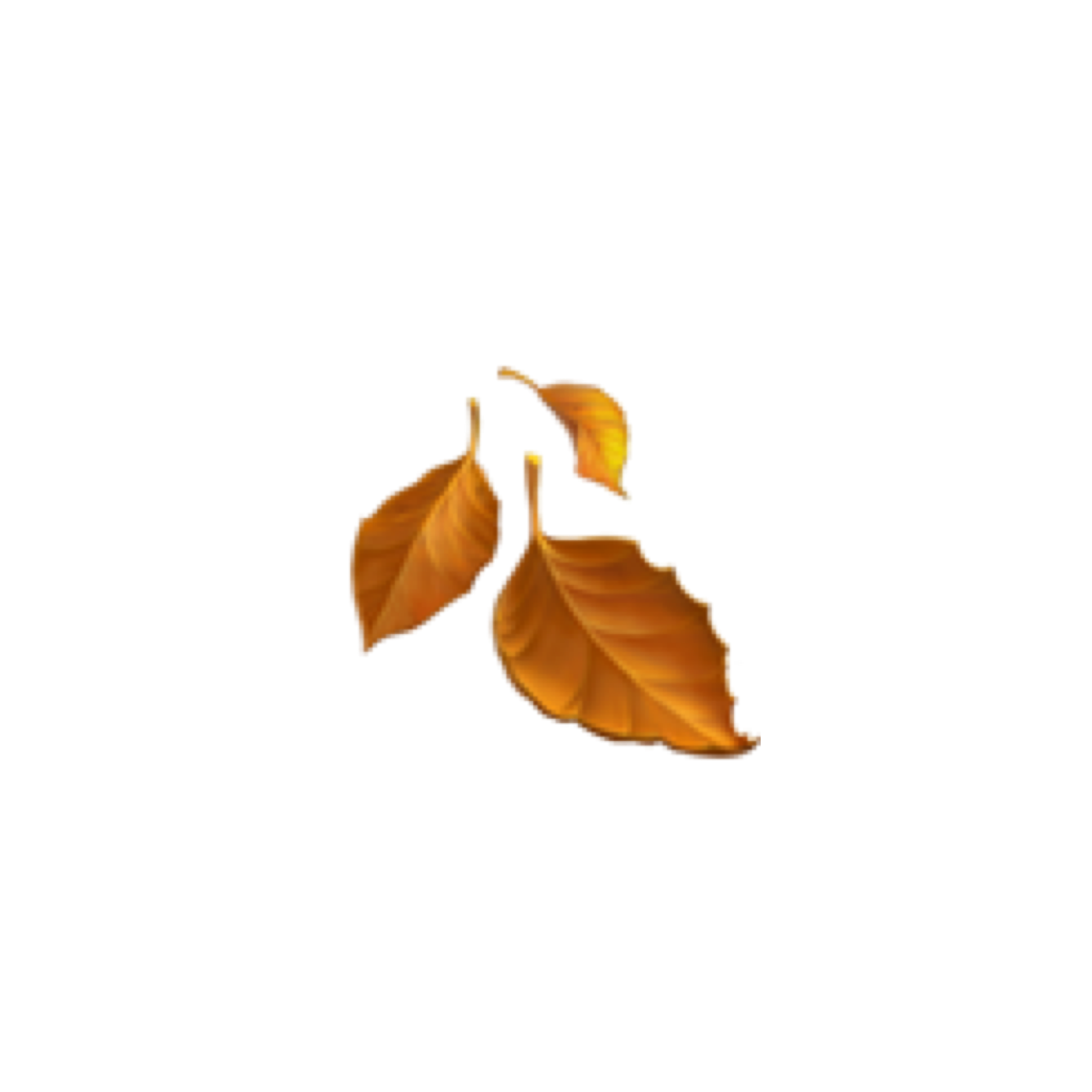 Autumn Aesthetic Background PNG Image