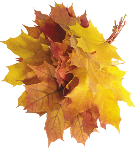 Autumn Aesthetic Download Free PNG