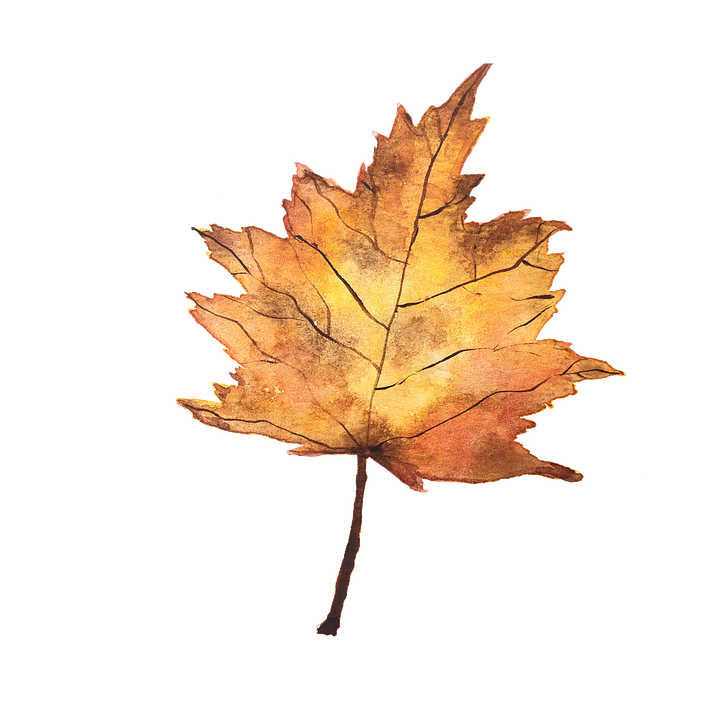 Autumn Aesthetic PNG Background