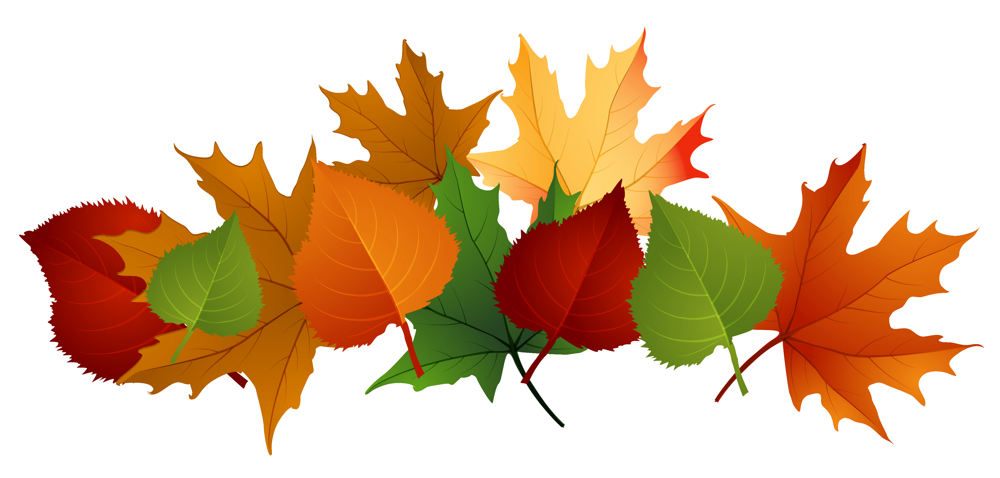 Autumn PNG Background