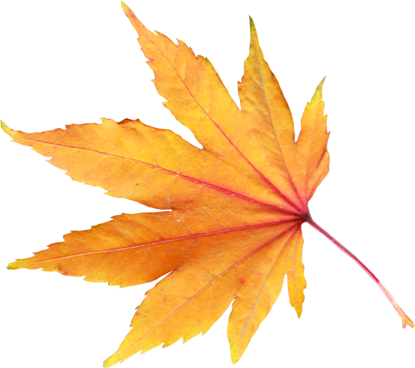 Autumn PNG HD Quality