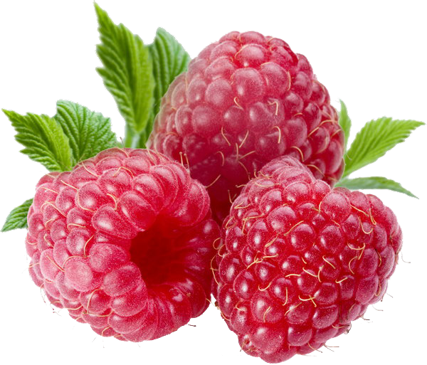 Berries PNG Background