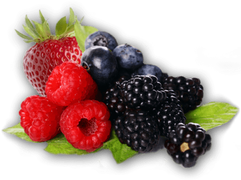 Berries PNG Clipart Background