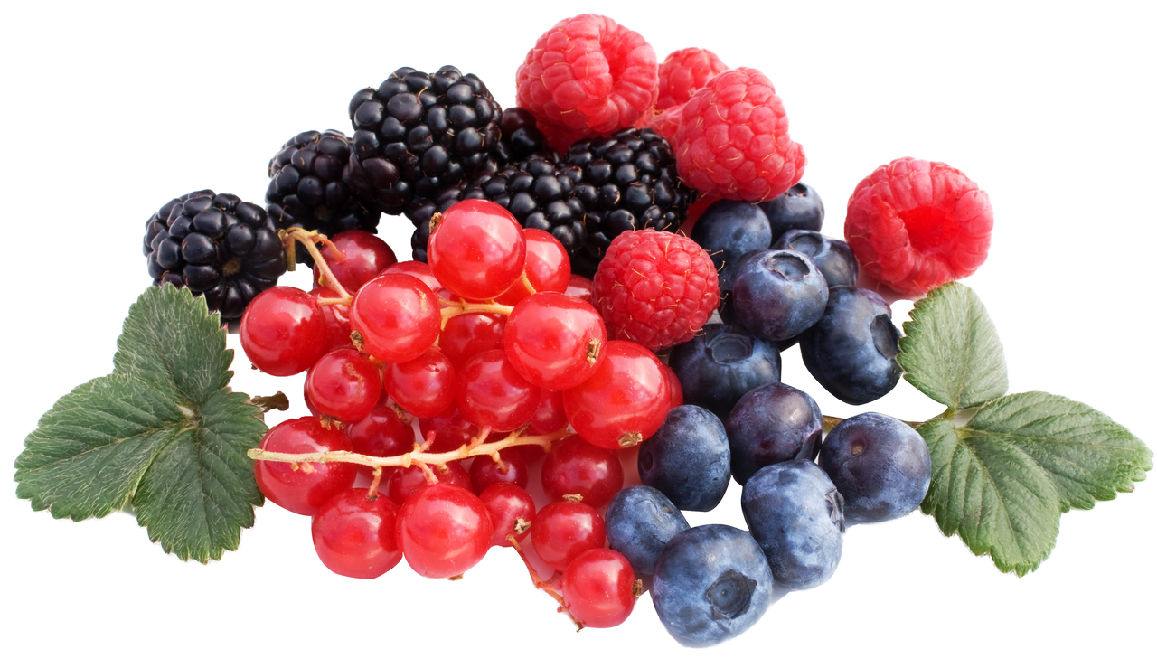 Berries PNG Pic Background