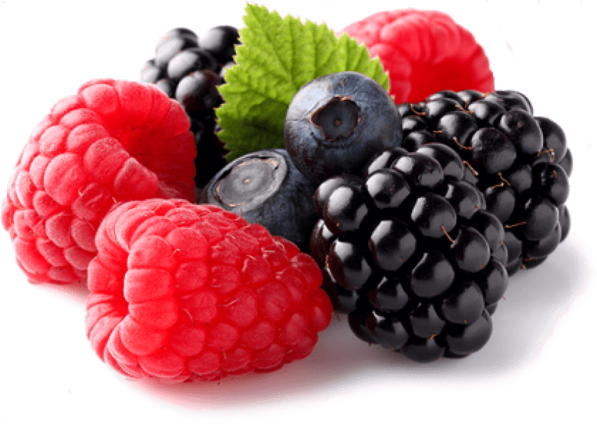 Berries Transparent PNG