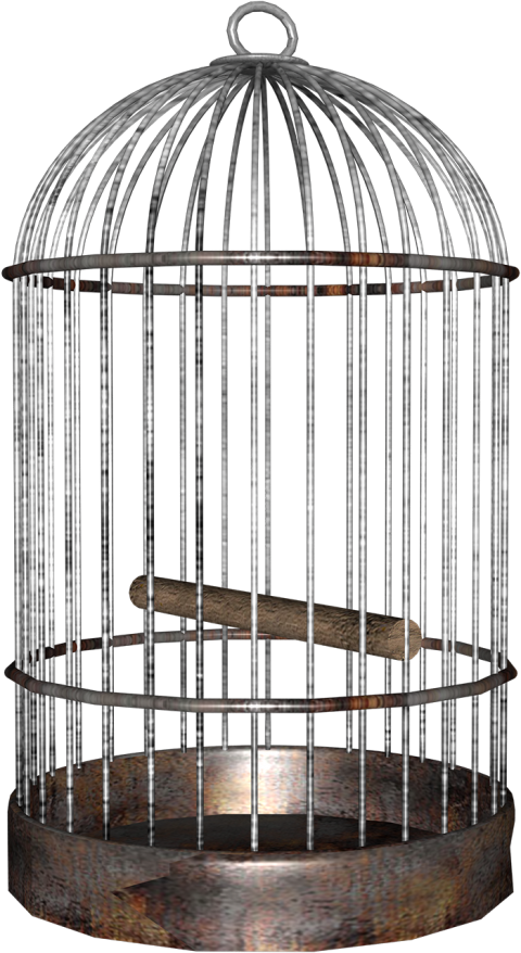 Bird Cage Background PNG
