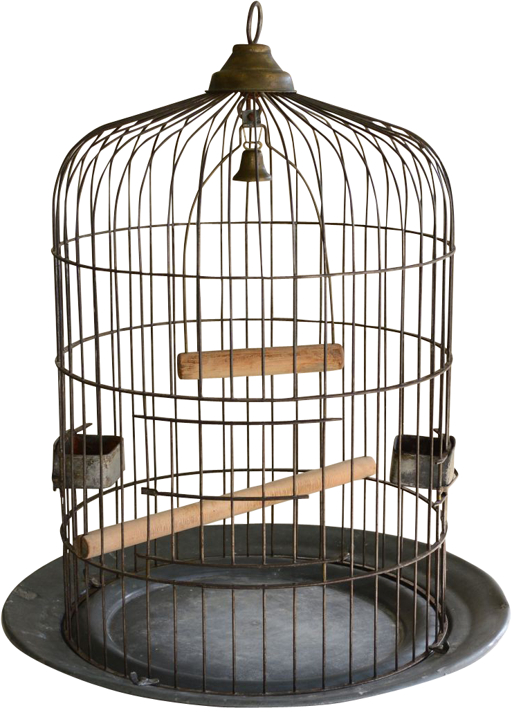 Bird Cage HD Quality PNG