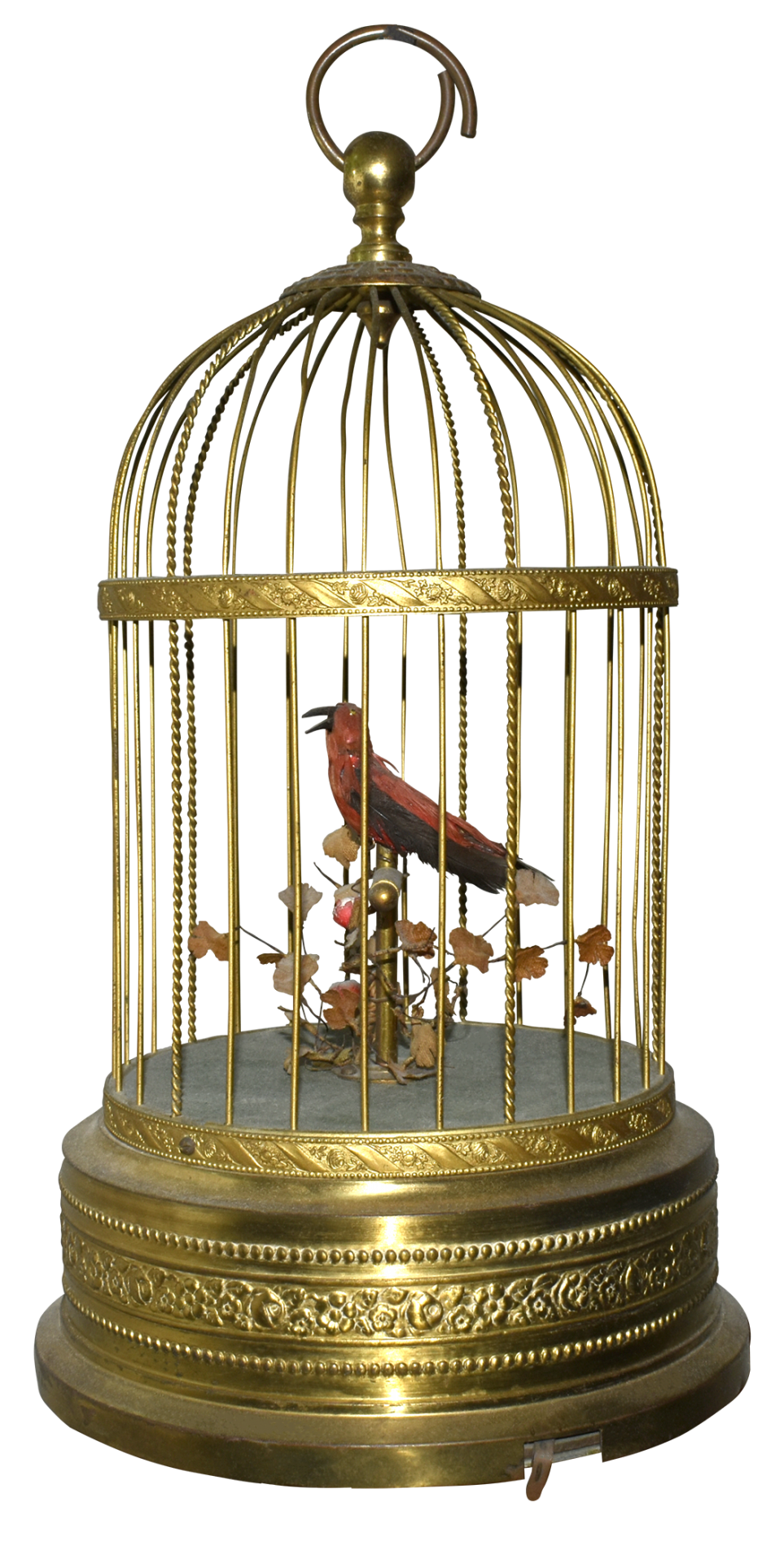 cage birds play characters