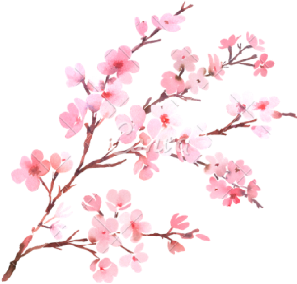 Blossom Background PNG Image