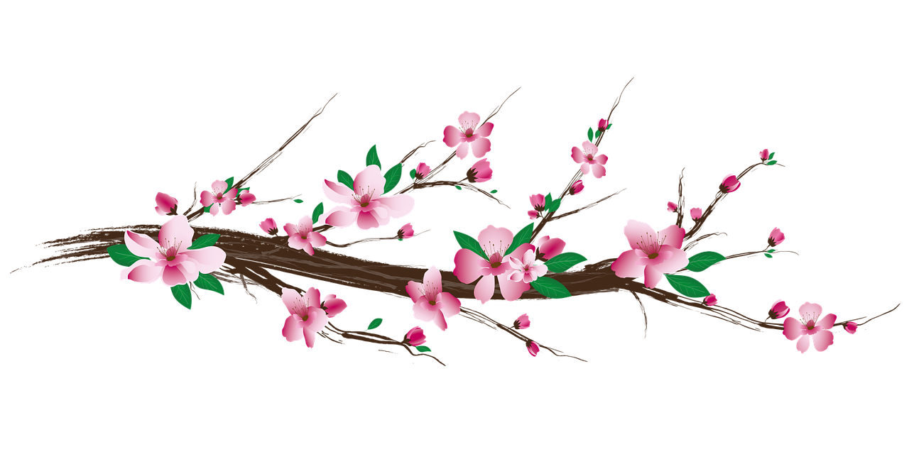 Blossom Free PNG