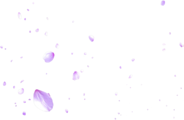 Blossom PNG Pic Background