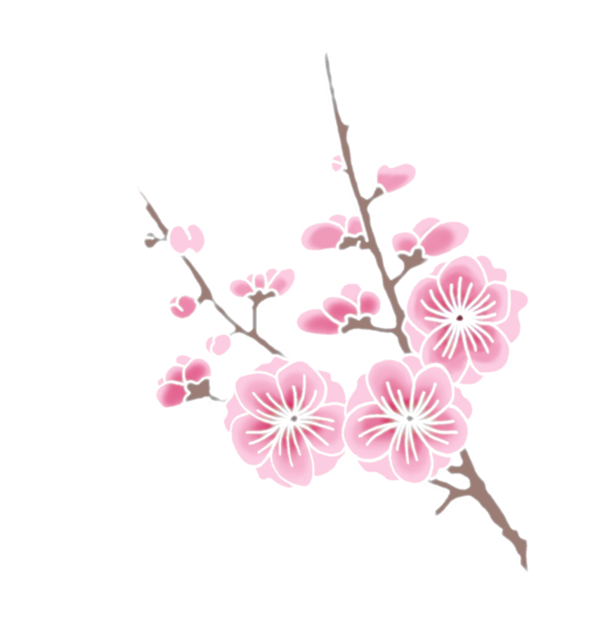 Blossom Transparent Image