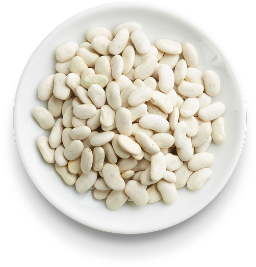 Cannellini Beans Background PNG Image