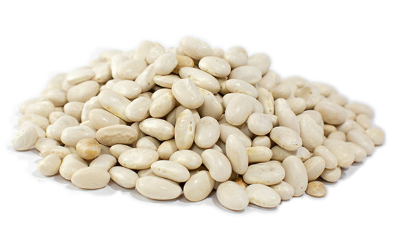 Cannellini Beans Download Free PNG