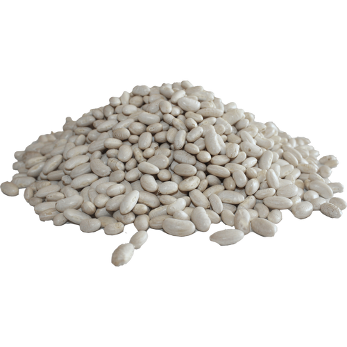 Cannellini Beans Transparent Free PNG