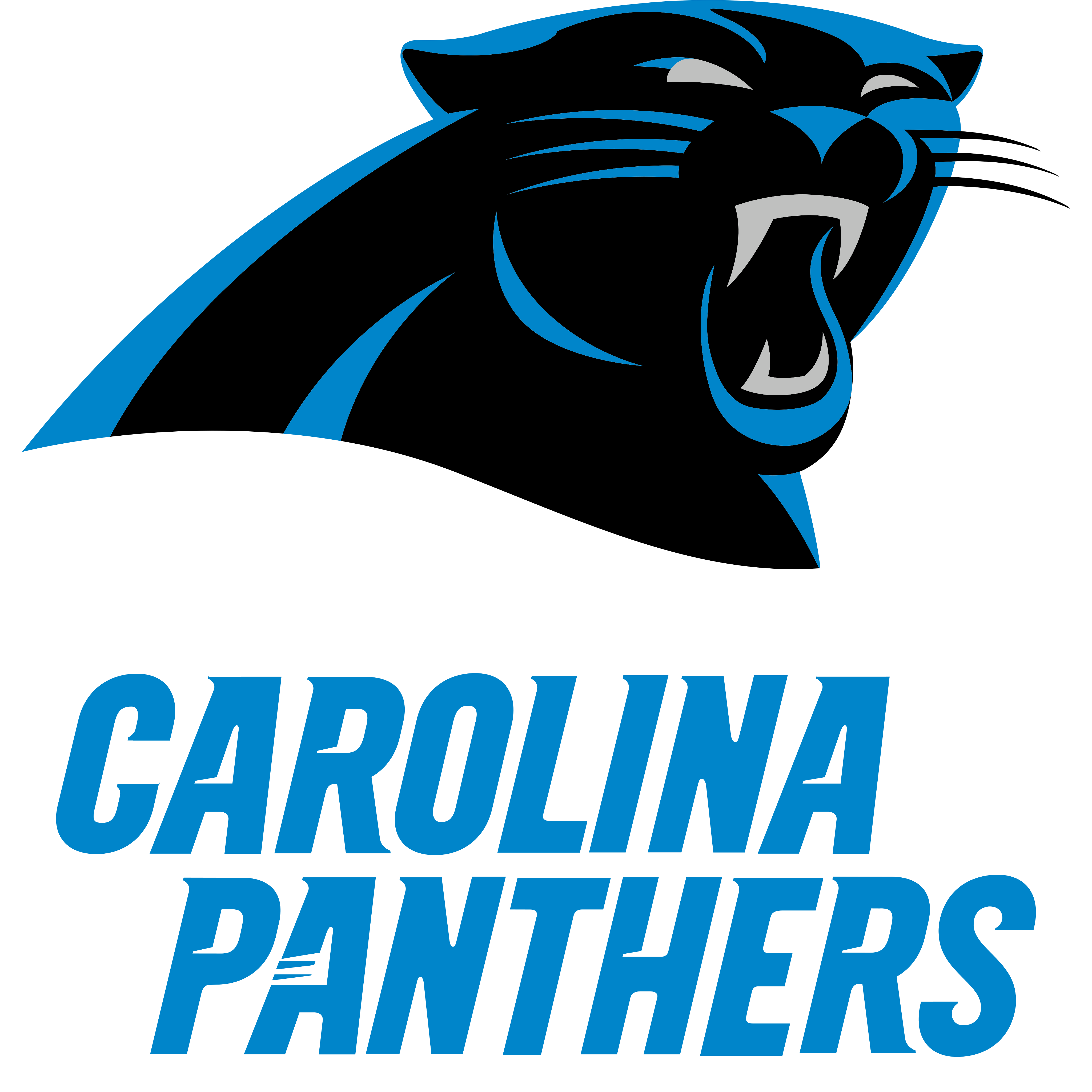 Carolina Panthers Transparent File