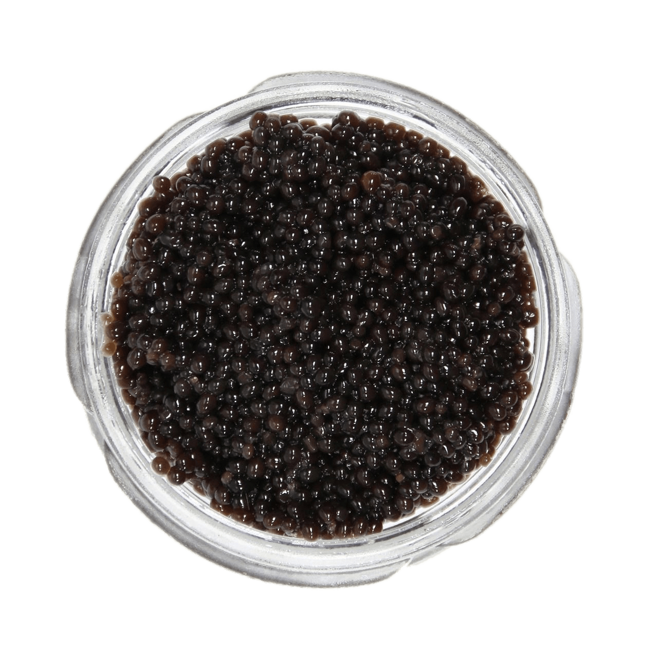 Caviar Transparent Images