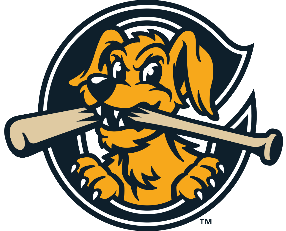 Charleston RiverDogs PNG Clipart Background