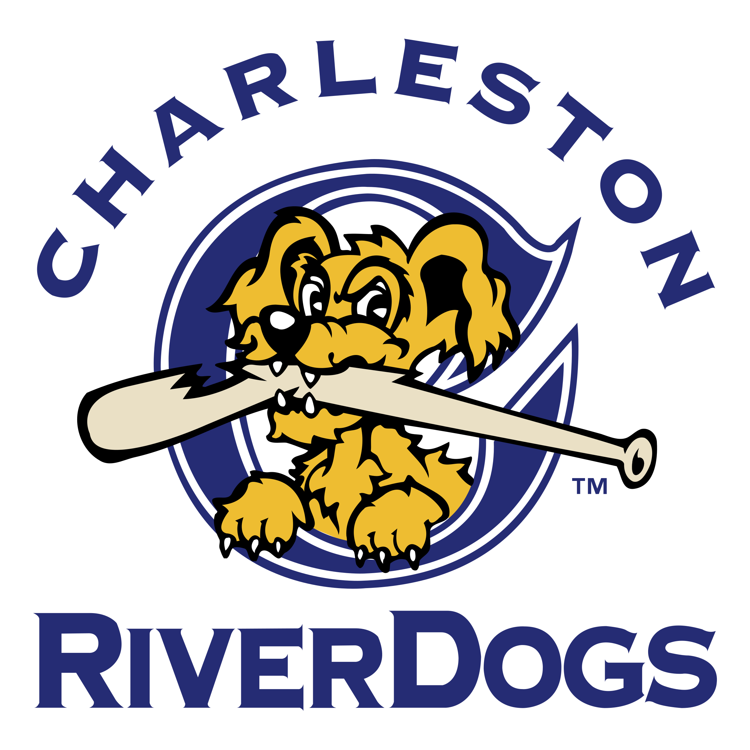 Charleston RiverDogs PNG HD Quality