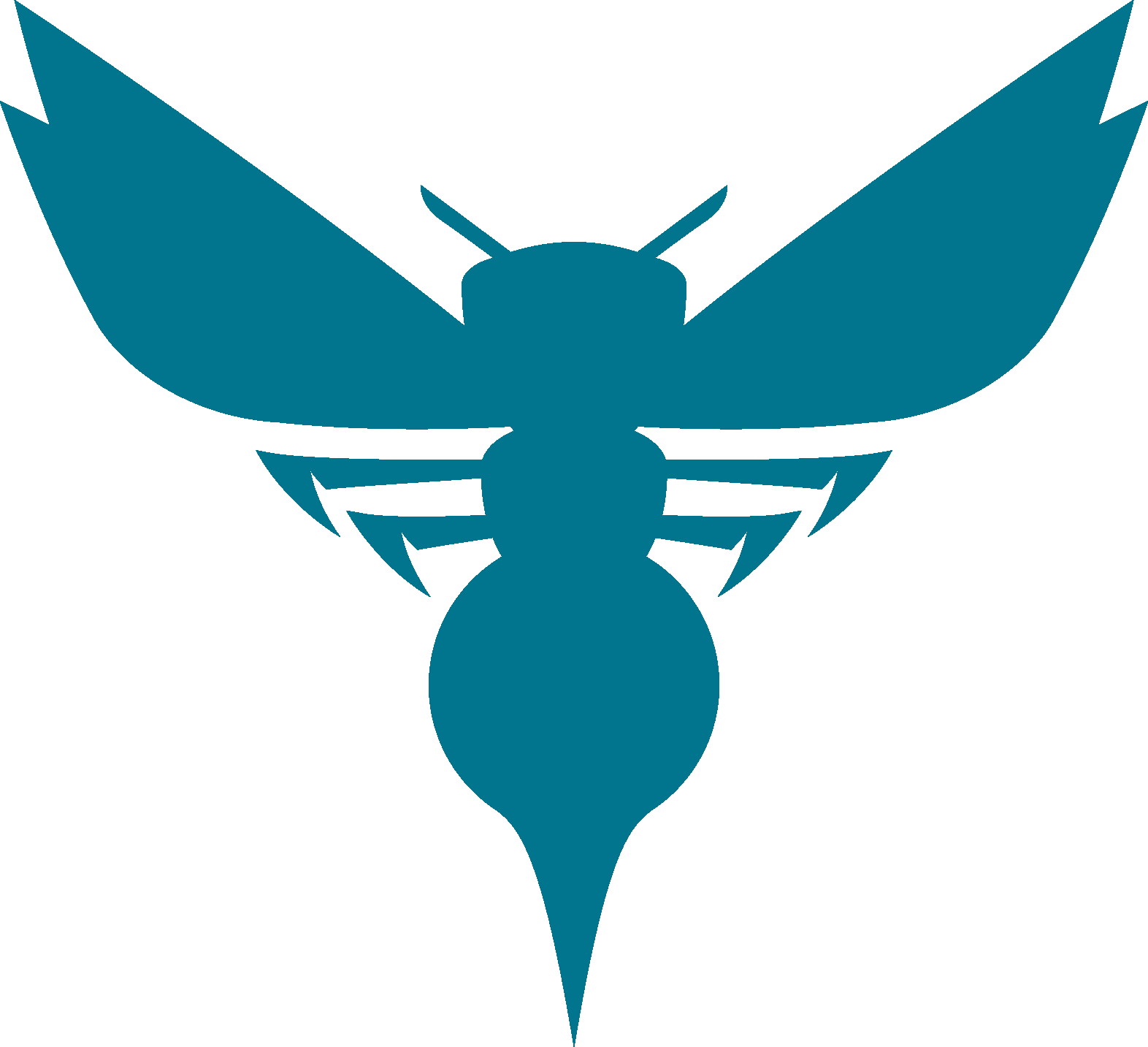 Charlotte Hornets Background PNG Image