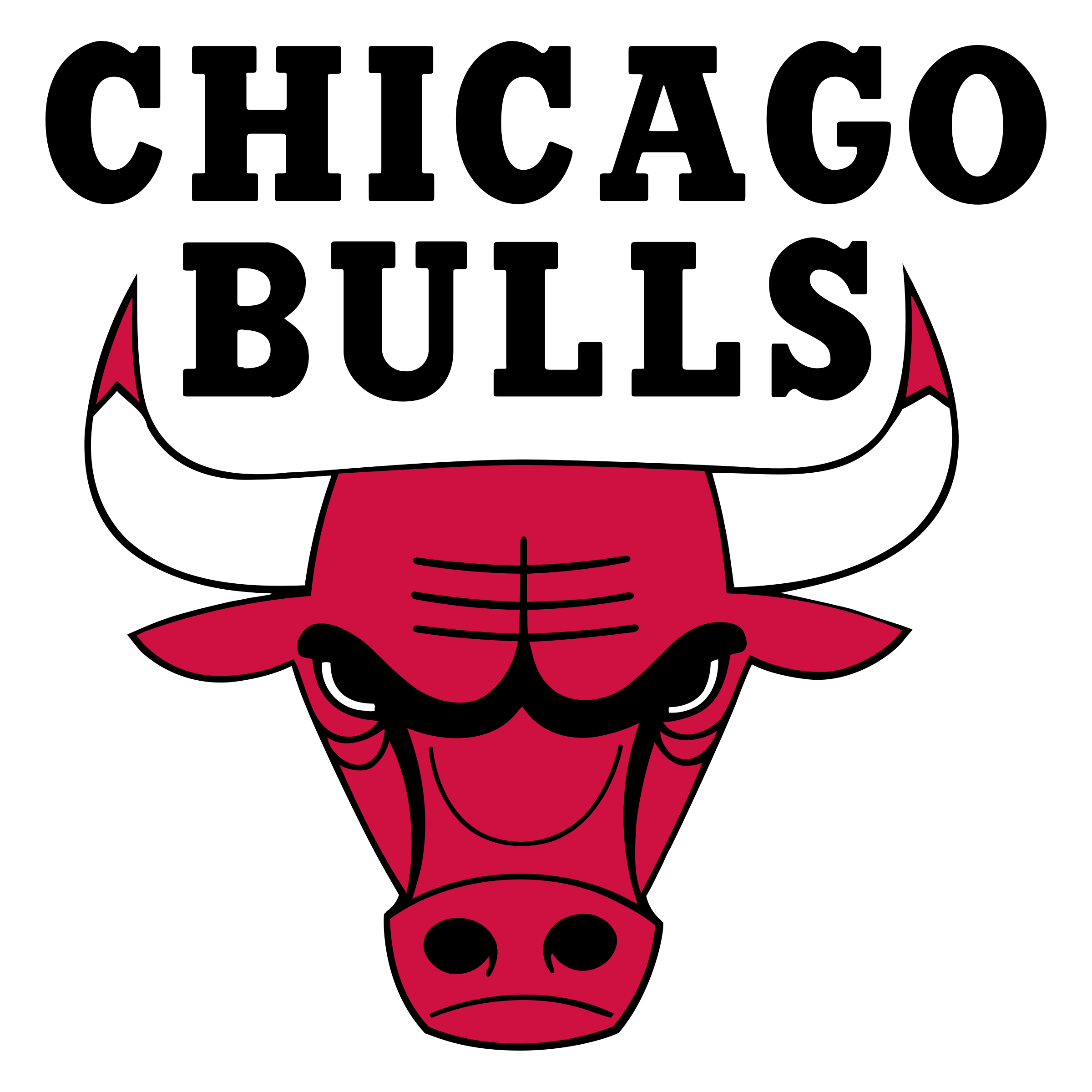 Chicago Bulls PNG Background