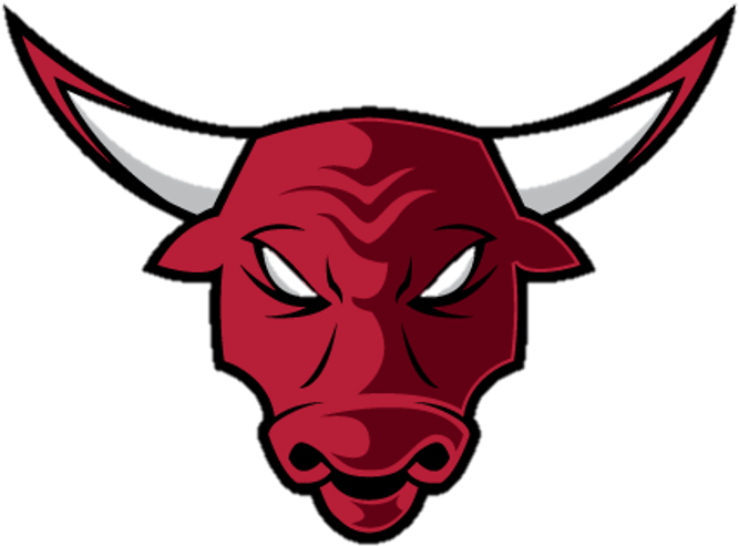 Chicago Bulls PNG Clipart Background