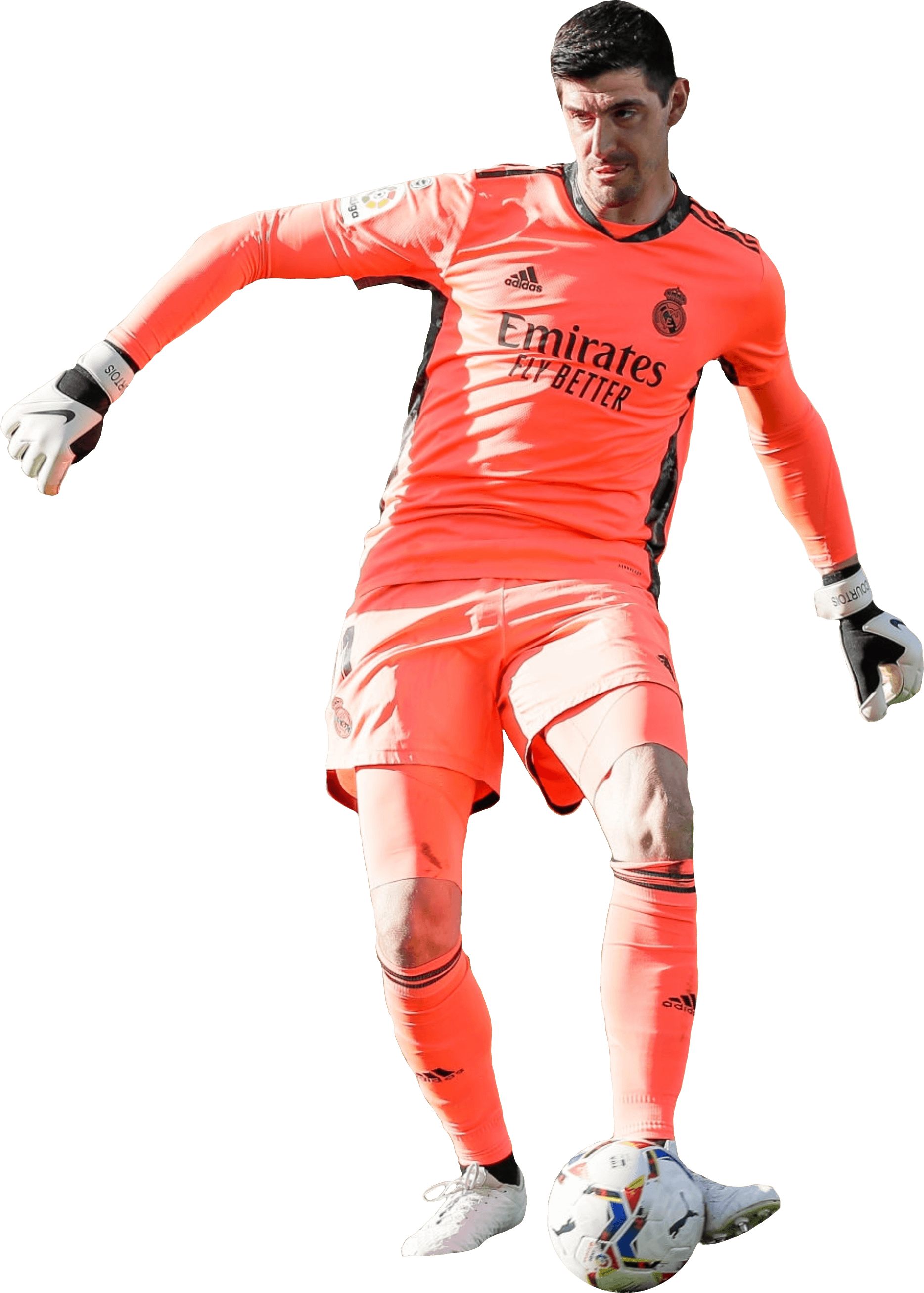 Courtois Download Free PNG
