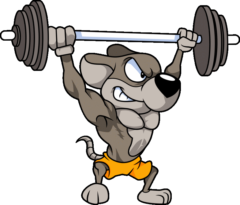 Crossfit PNG Clipart Background