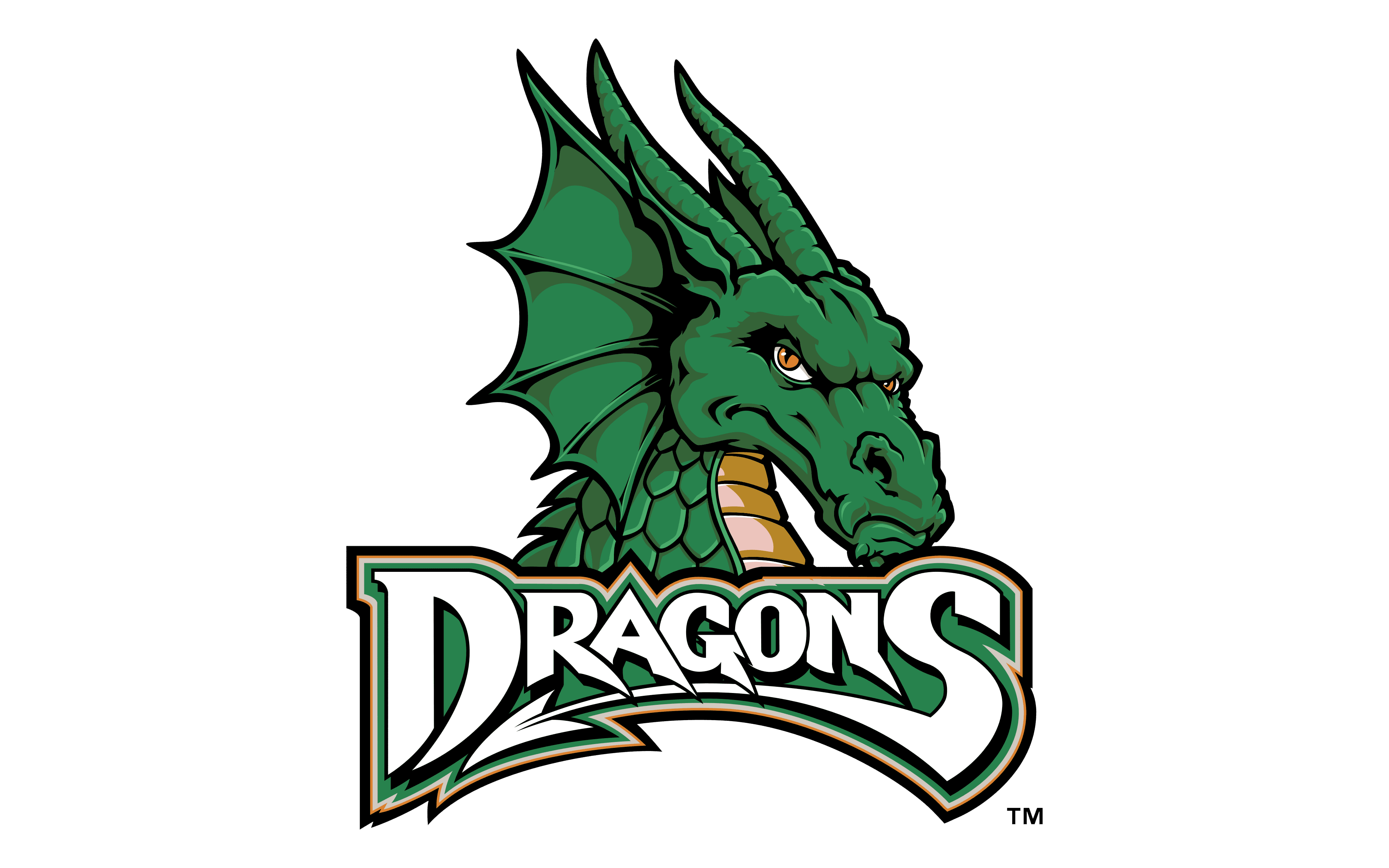 Dayton Dragons Background PNG Image
