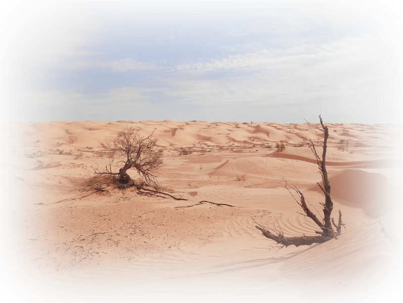 Desert Land PNG Clipart Background