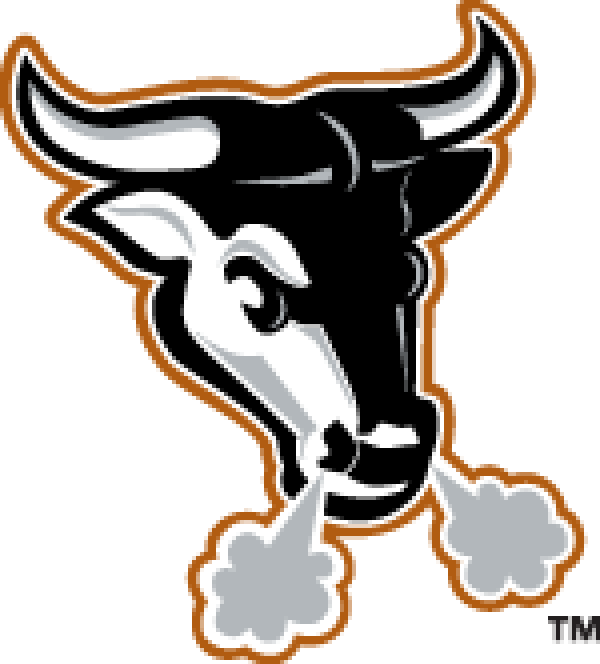 Durham Bulls Transparent Background