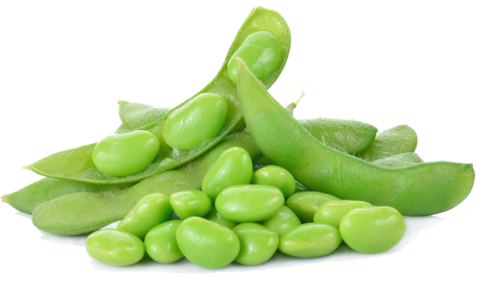 Edamame Beans Background PNG