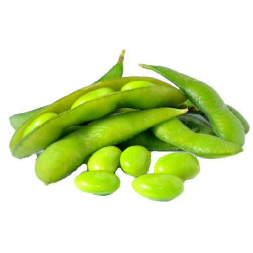 Edamame Beans PNG Images HD