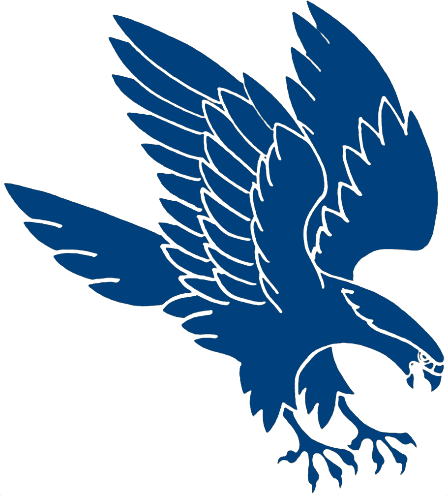Falcons Clipart Background PNG