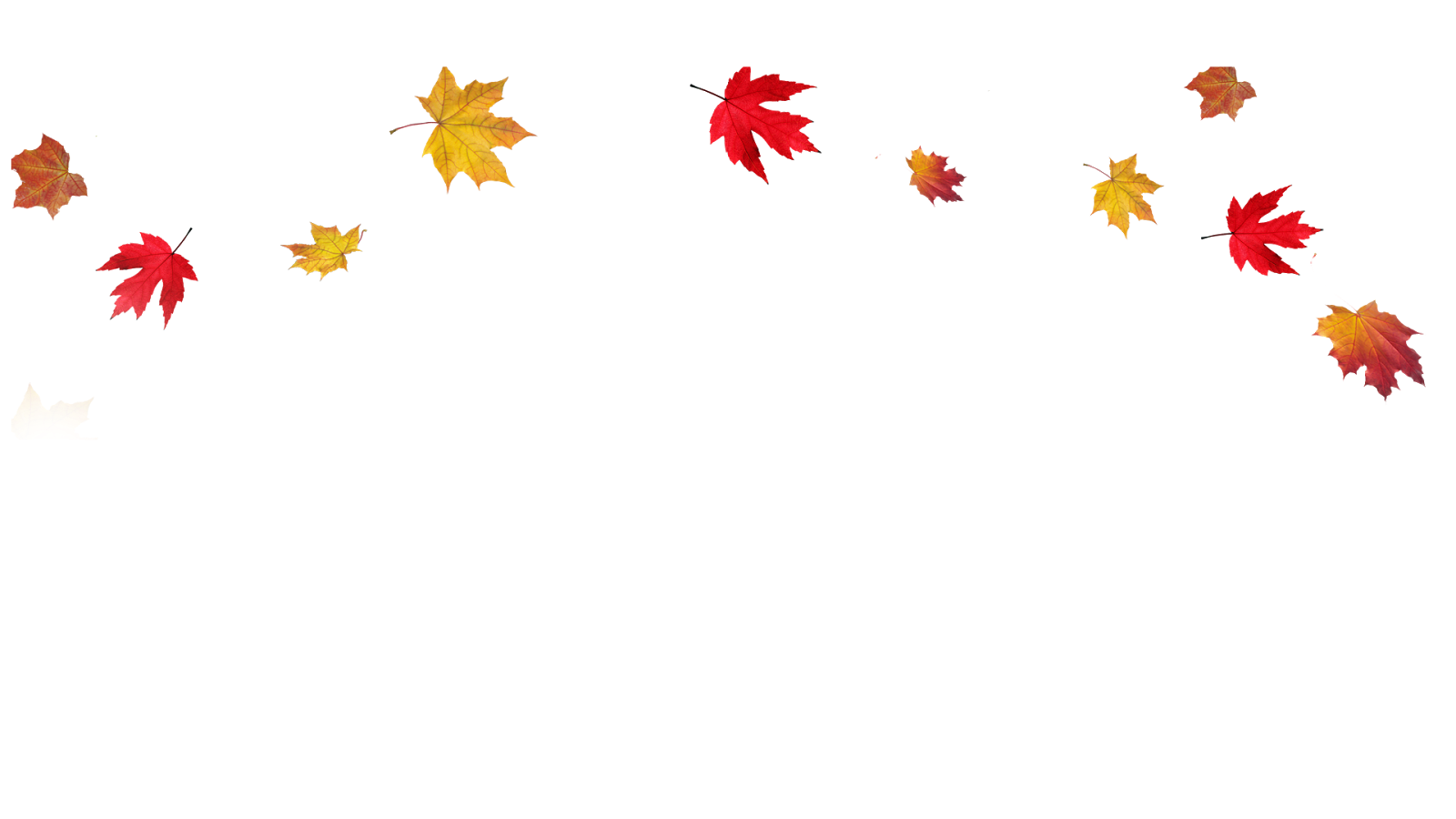 Fall Background PNG Image