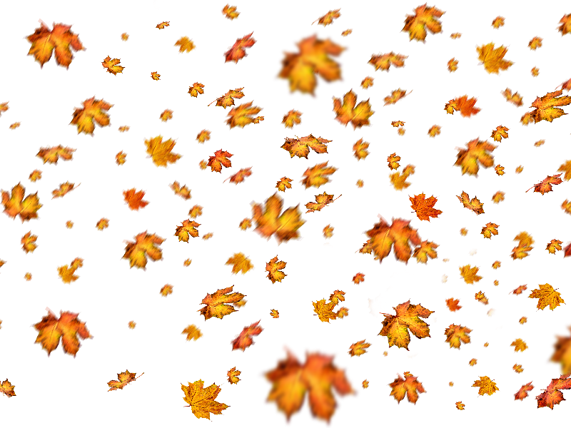 Fall Download Free PNG