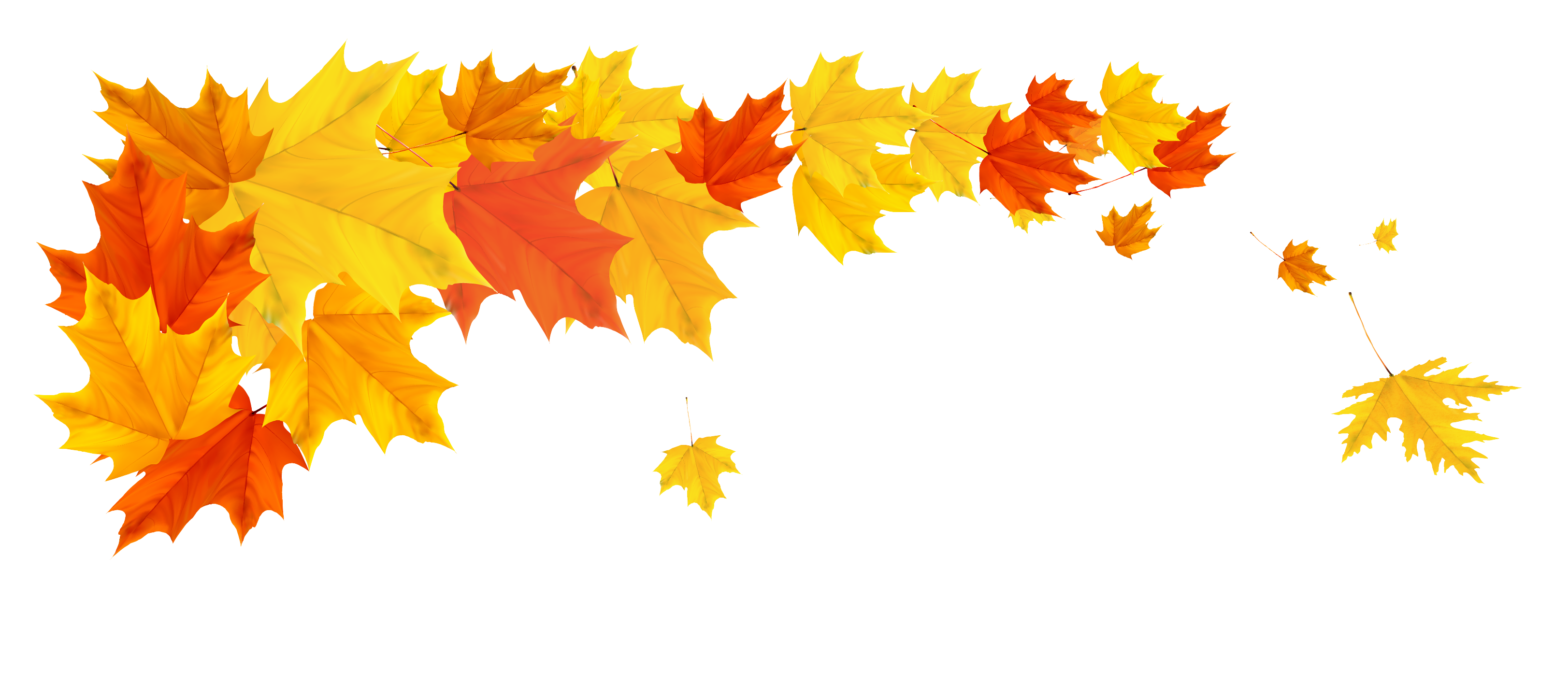 Fall PNG Clipart Background