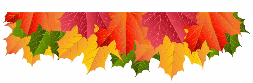 Fall PNG Pic Background