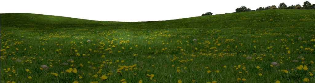 Field Background PNG Image
