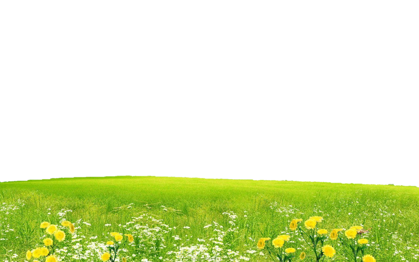 Field Background PNG